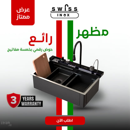 Evier SWISS INOX P5