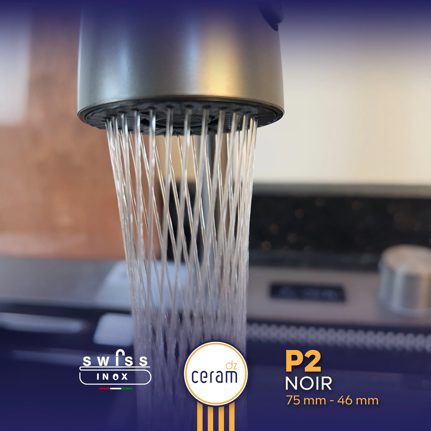 EVIER PIANO 2 BOUTTONS SWISS INOX AVEC NANO