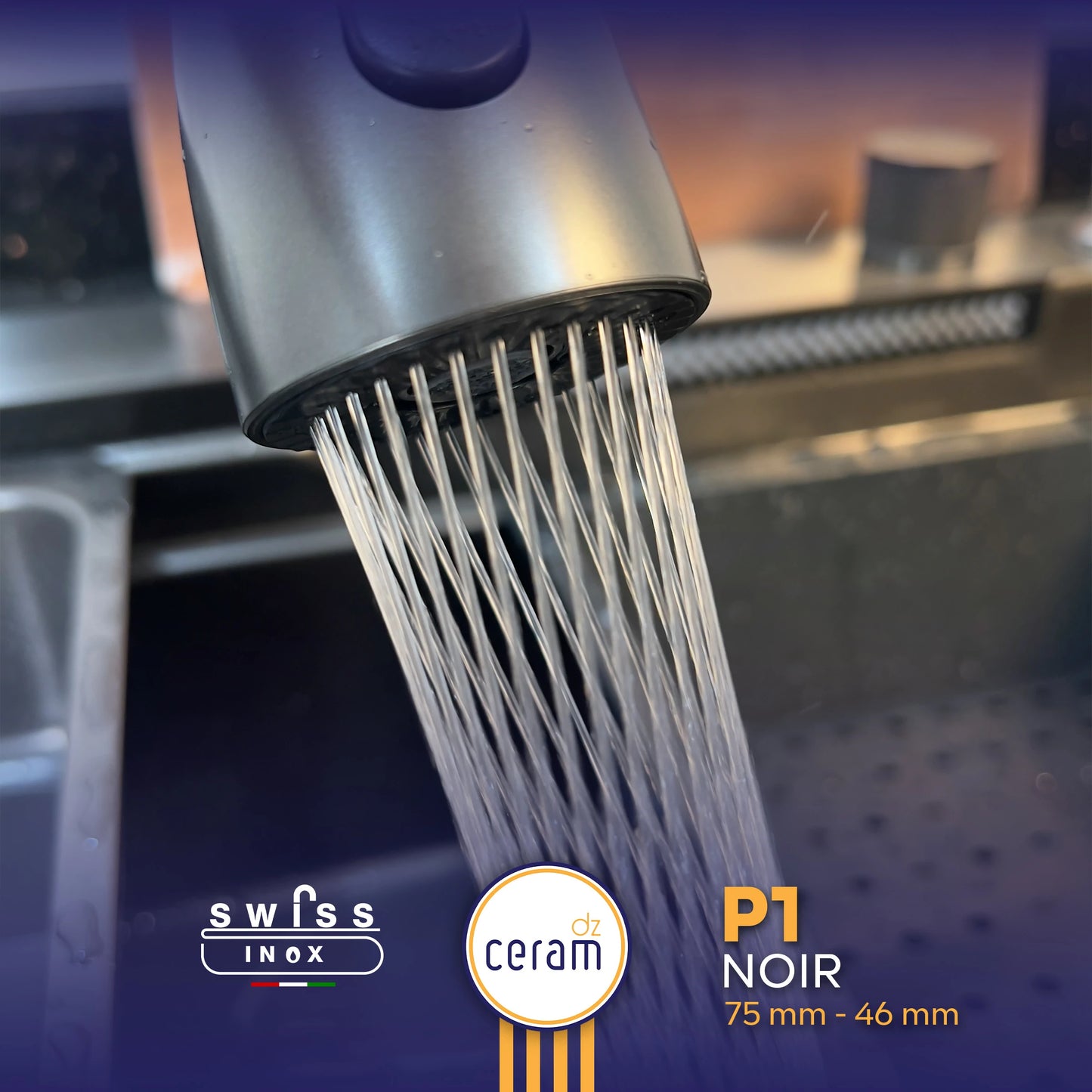 EVIER SWISS INOX P1 NOIR INOX 304 NANO