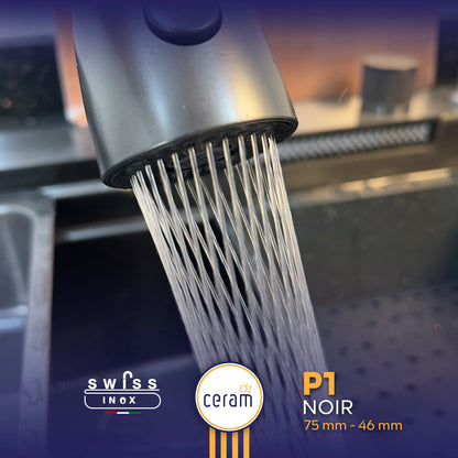 EVIER SWISS INOX P1 NOIR INOX 304 NANO